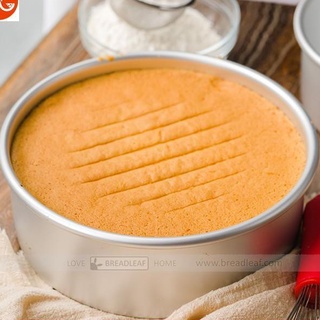 Khuôn Nhôm 8" Đế Rời Breadleaf