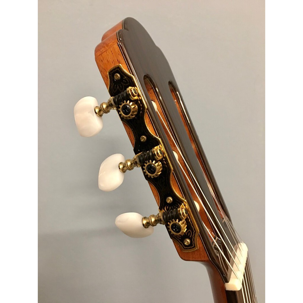 Guitar Classic Aria A-85CWE