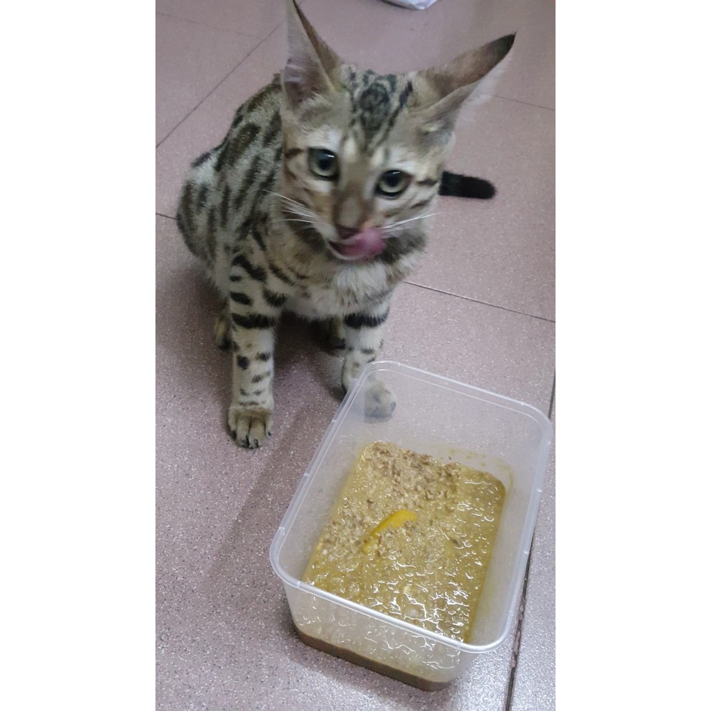 Hộp 850g-900g .pate tươi cho chó mèo nhà làm thơm ngon bổ dưỡng.