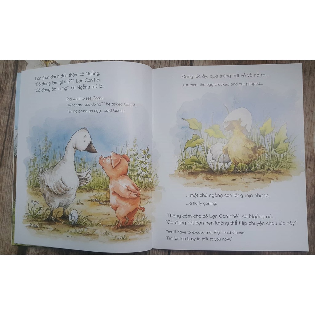 Sách - Quả Trứng Của Lợn Con – Pig’S Egg (Picuter Book Song Ngữ 3-8 tuổi)