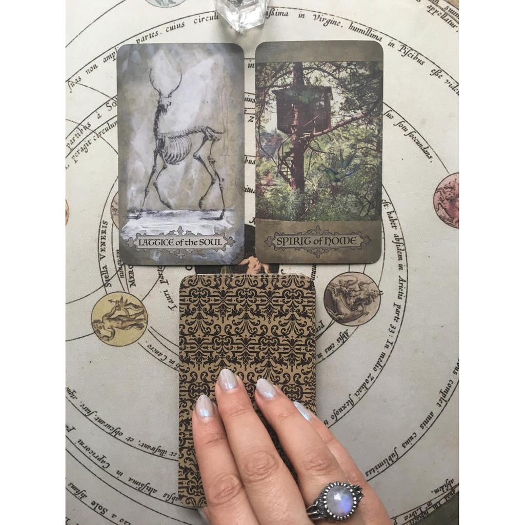 Bài Divine Muses Oracle