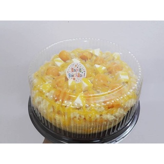 10 hộp nhựa đế đen A016 đựng bánh, hộp bông lan trứng muối