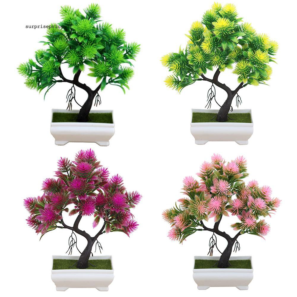 Chậu cây cảnh giả nhiều màu tùy chọn dùng trang trí tiểu cảnh đẹp mắt