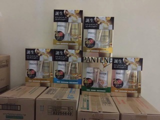 Dầu gội Pantene set 3