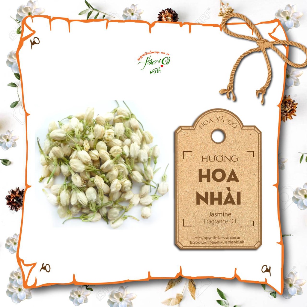 Hương Hoa Nhài