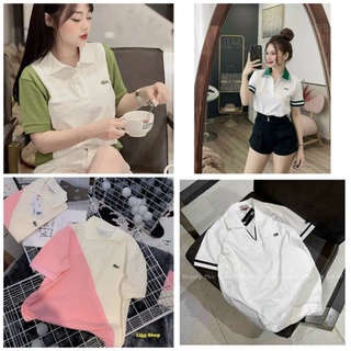 Áo phông polo nữ cá sấu siêu hot