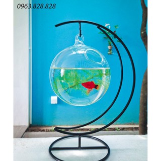 Bể cá mini cung trăng 17 (Tặng kèm phụ kiện trang trí)