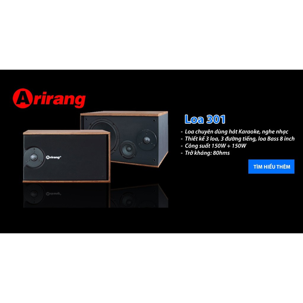 Loa Karaoke Arirang 301