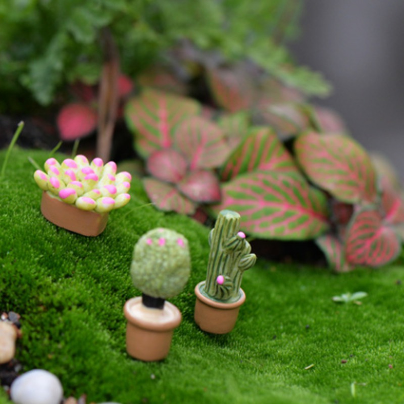 Đồ Trang Trí Hình Cây Xương Rồng Và Hoa Giả Cho Sân Vườn