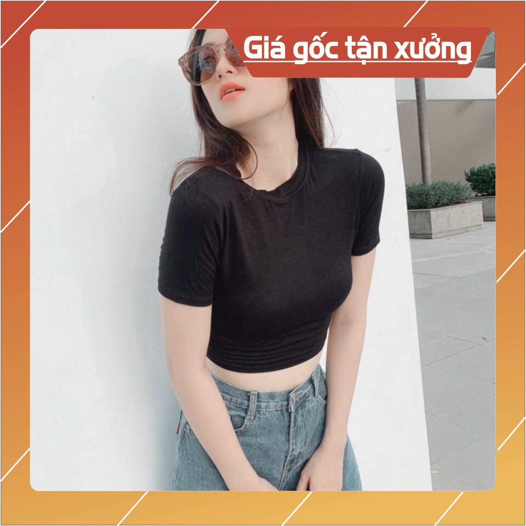 [Bán Giá Gốc] Áo croptop NeyLyy, Áo croptop nữ tay ngắn dáng ôm body chất liệu vải cotton bozip