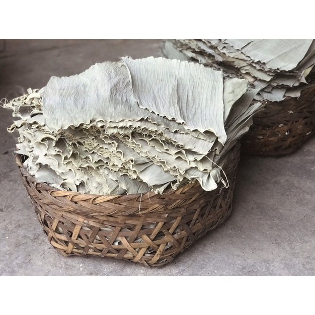 Lá chuối khô nhà trồng và hái trộm của hàng xóm