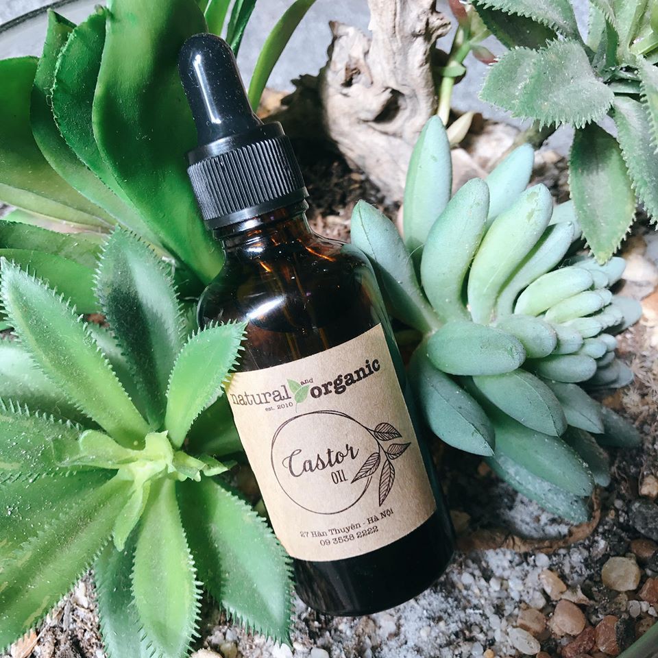 Dầu thầu dầu Castor oil Mointain Rose Herbs