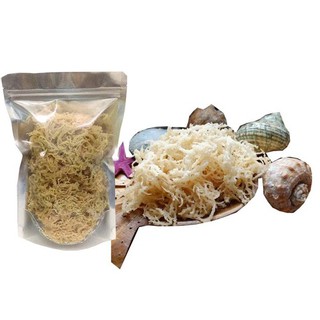 100g Rong sụn (rong biển trắng) Phan Rang LL244