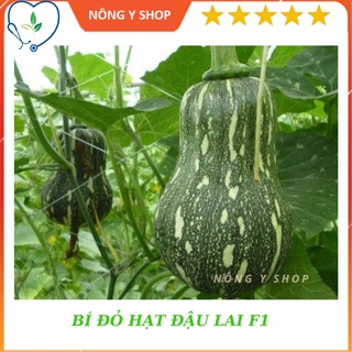 Túi zip 2 hạt - hạt giống bí đỏ hạt đậu lai f1 rạng đông rado 35