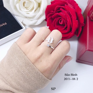 Nhẫn 12 cung hoàng đạo bạc ta