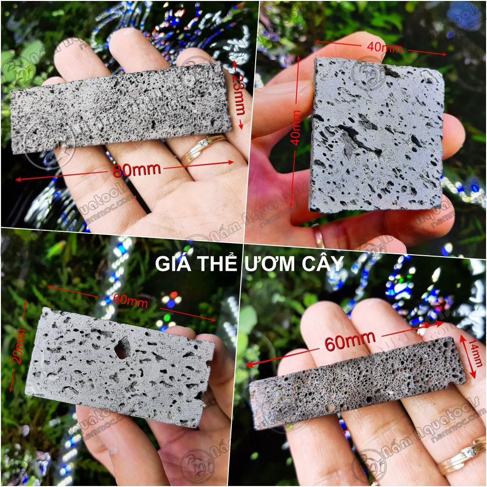 Nham Thạch Lát - namoPAD ☘ Giá Thể Ươm Ráy, Bucep Cực Tốt