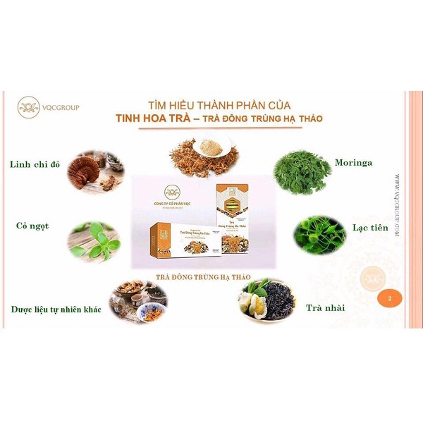 Trà đông trùng hạ thảo VQC Group