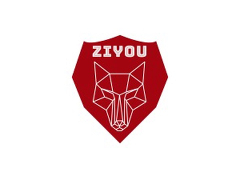 Ziyou