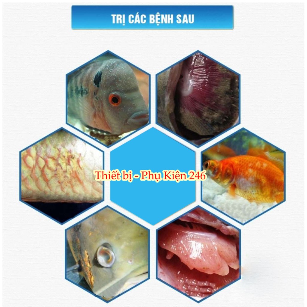 TETRA TRỊ NẤM CÁ - DƯỠNG CÁ