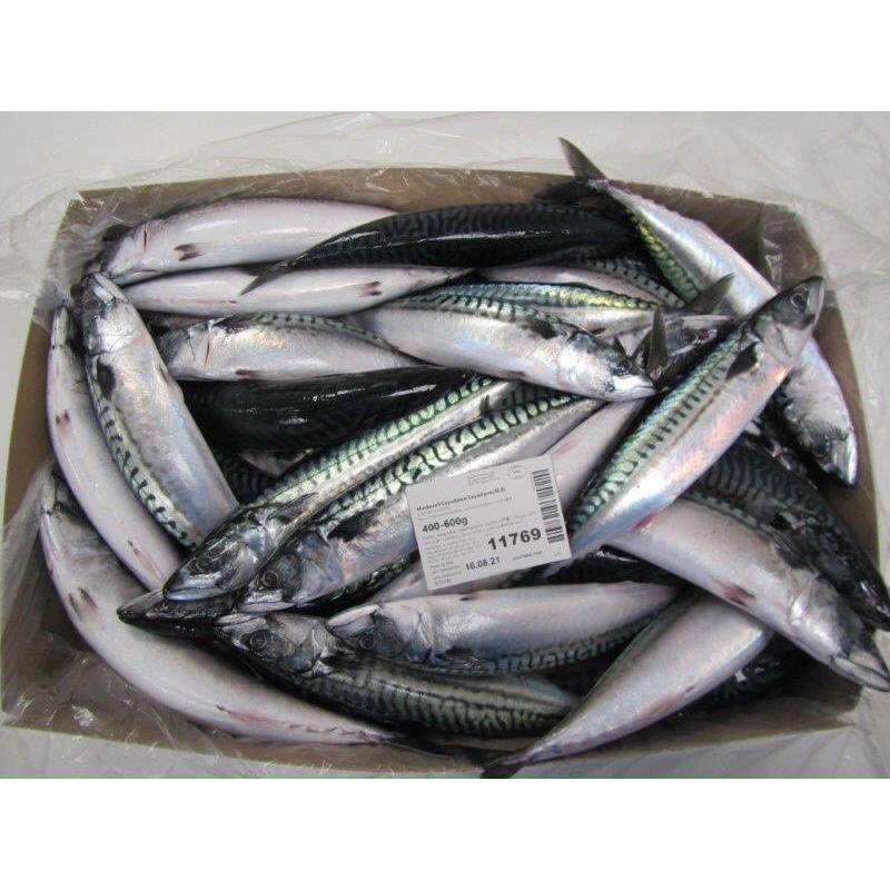 Cá Saba Nhật. 55.000/Kg. Giao hoả tốc HCM