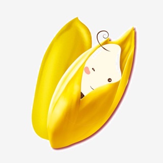 Nguyên Liệu Mẹ Gạo