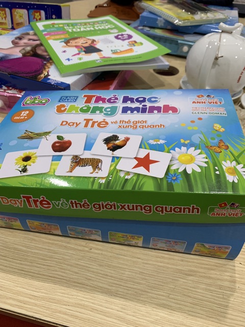 THẺ HỌC THÔNG MINH FLASH CARD BIBO 13 chủ đề