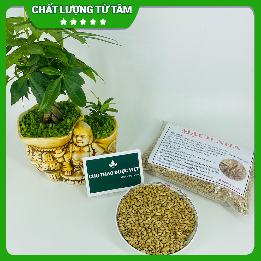 Mạch nha khô 100g  - Chợ Thảo Dược Việt