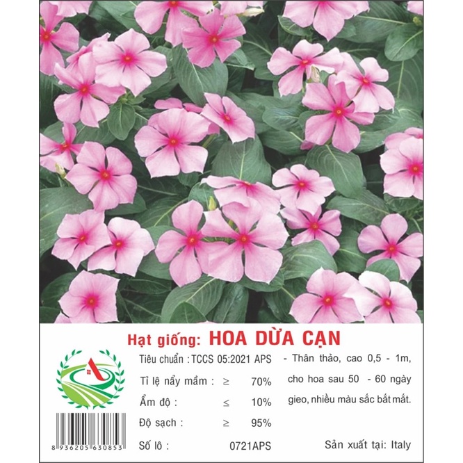 Hạt giống Hoa Dừa Cạn