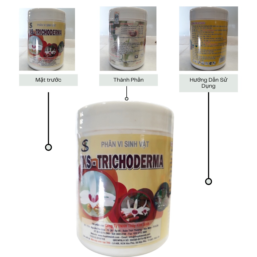 TRICHODERMA Và PSEUDOMONAS Hoa Lan Đối Kháng Nấm Khuẩn, Bảo Vệ Cây Trồng