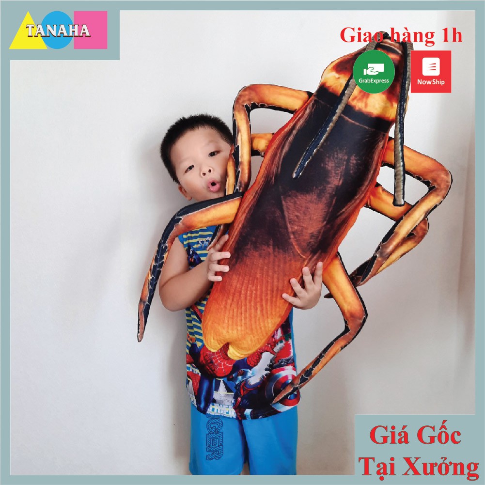 [Hình Thật] Gối ôm 3D Con Gián Nhồi Bông Khổng Lồ 80 cm ( luôn râu 1m1 )