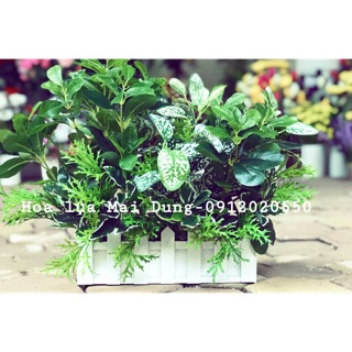 Hàng rào cắm hoa bằng gỗ - kích thước 50cm