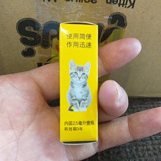 Trị ve rận ở mèo và chó