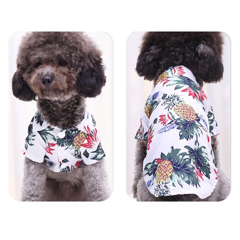 Áo kiểu sơ mi cho thú cưng - áo họa tiết đi biển  mùa hè cho thú cưng size 3XL đến 5XL