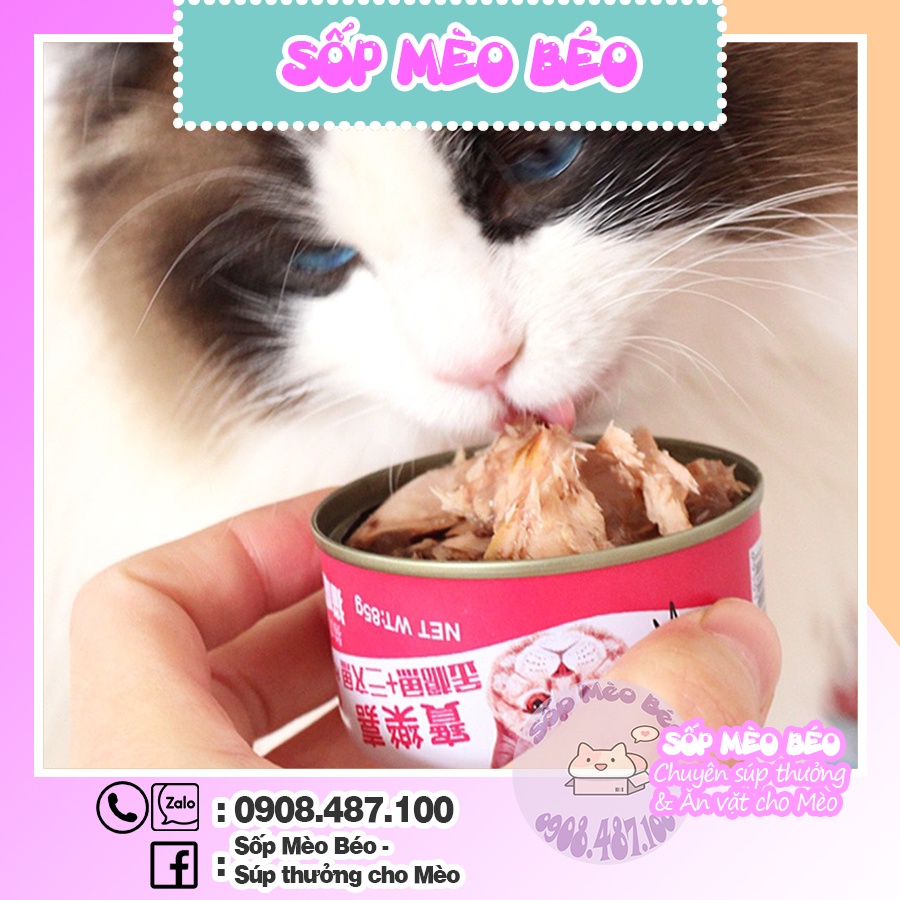 Lon Cá nguyên sớ Po Roca 85gr dành riêng cho Mèo