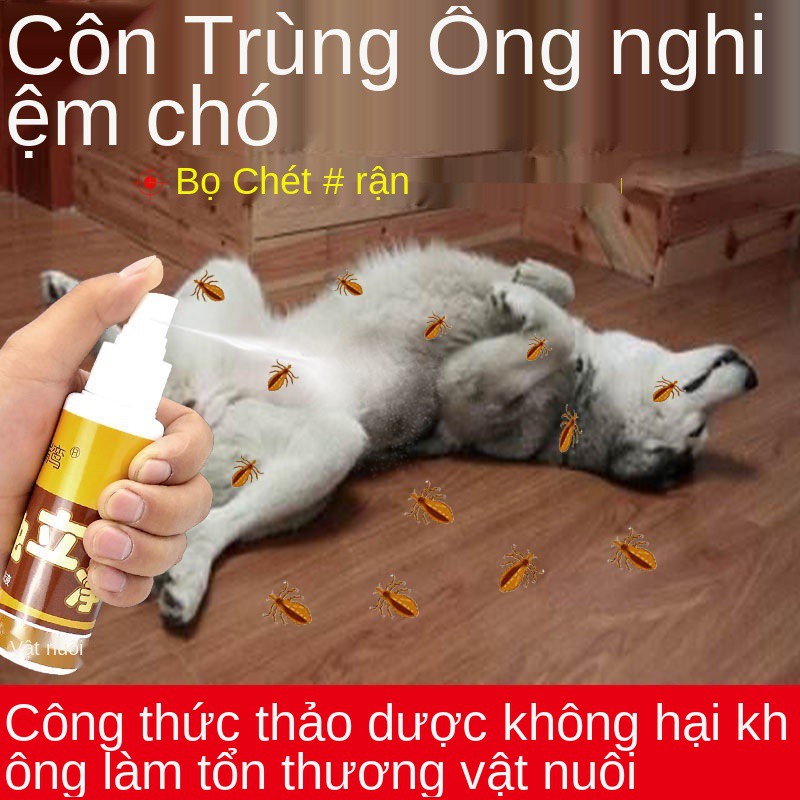 thuốc trị bọ chét cho chó trong ống nghiệm chống xịt diệt non Sản phẩm tẩy giun sánMUY