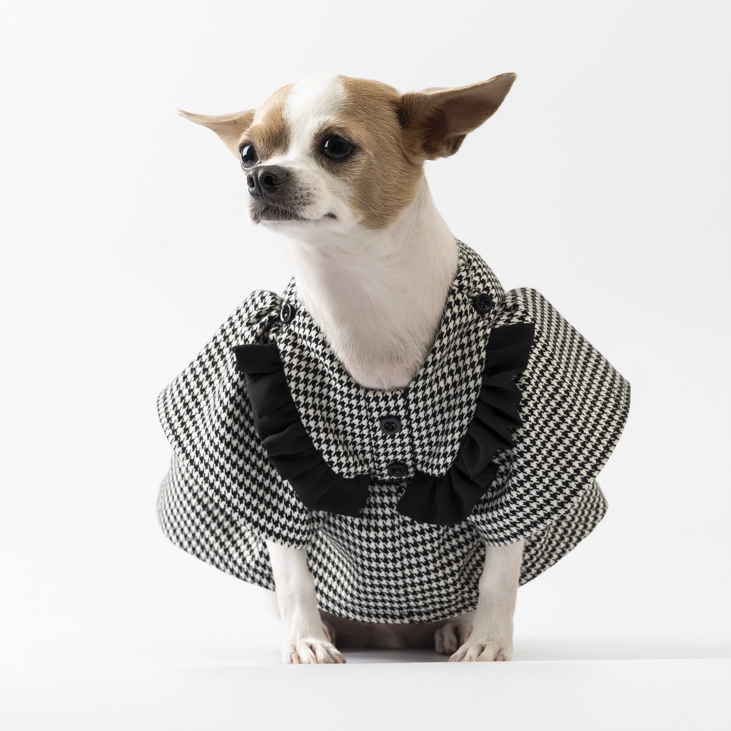Váy hàng hiệu cho thú cưng - SaboCoco - B&W1