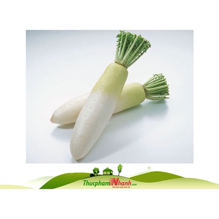Củ cải trắng - 500g