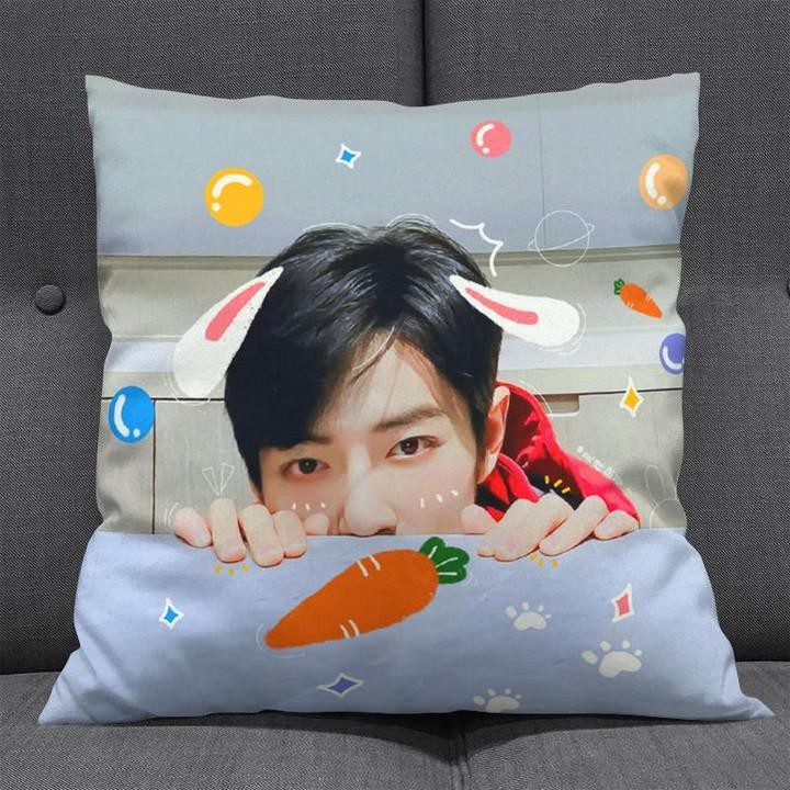 Gối Tiêu Chiến 30x30 gồm cả vỏ và ruột Trần Tình Lệnh Ma Đạo Tổ Sư Vương Nhất Bác Lam Vong Cơ Ngụy Vô Tiện