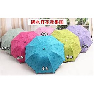Dù ma thuật (Gặp nước nở hoa)