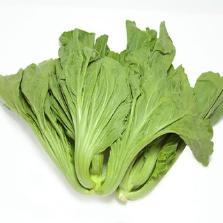 Mua Hạt giống cải bẹ dưa cao sản gói 20gr
