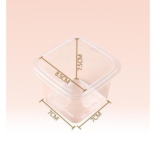 Hộp Nhựa PET B108 Vuông Có Nắp