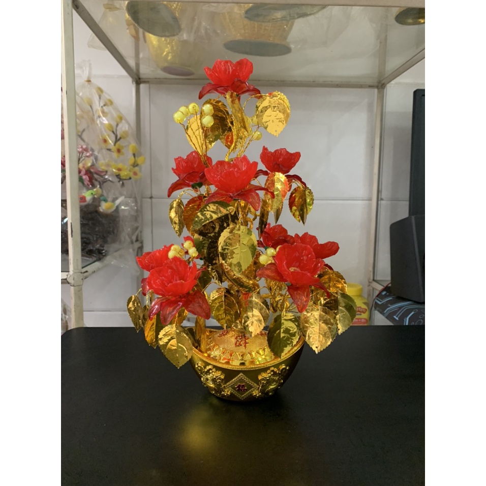 Lá Ngọc Cành Vàng cao 35cm