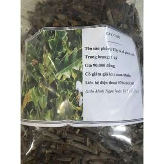Combo 5 ký cây ô rô phơi khô