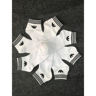 VỚ / TẤT xuất Nhật cao cấp chính hãng CỔ LỬNG / CỔ THẤP / CỔ TRUNG