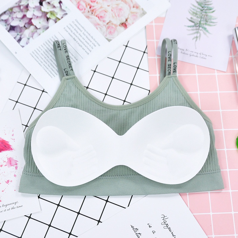 Áo Ngực Thể Thao Nữ Phối Lưng Đan 2 Dây Đồ Tập Gym Yoga DAN L&amp;U 8156