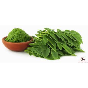 Bột Chùm Ngây Sấy Lạnh Nguyên Chất Dalahouse (50g) bổ sung dinh dưỡng người cao tuổi, bột rau củ ăn dặm cho bé | BigBuy360 - bigbuy360.vn