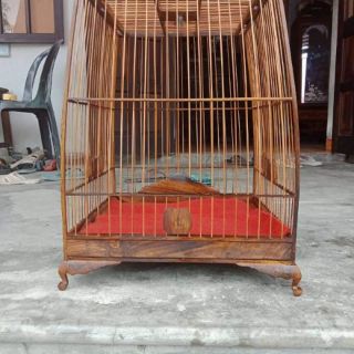 Lồng chim lá đề