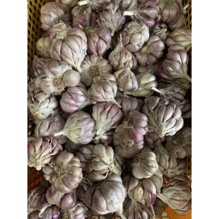 (1kg) TỎI BẮC SIÊU THƠM NGON.