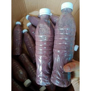 Mắm tôm bún đậu loại đặc biệt thơm ngon