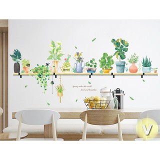 Decal dán tường 3 hàng chậu cây cảnh